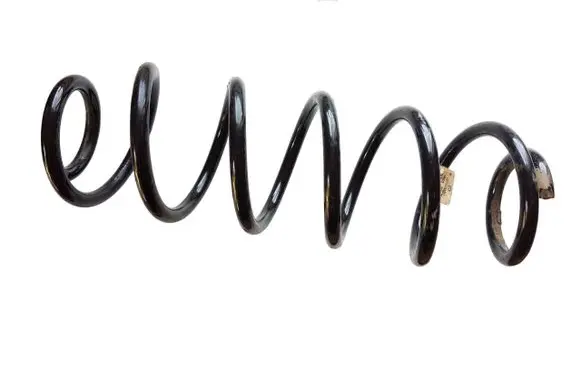 Rear coil spring