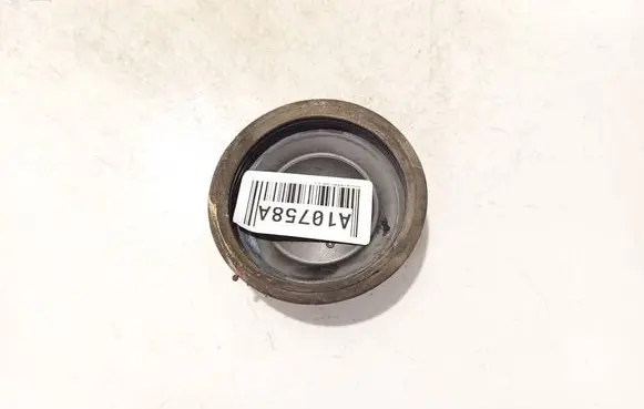 Headlight/headlamp dust cover
