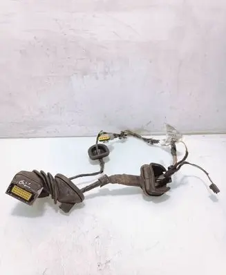 Rear door wiring loom