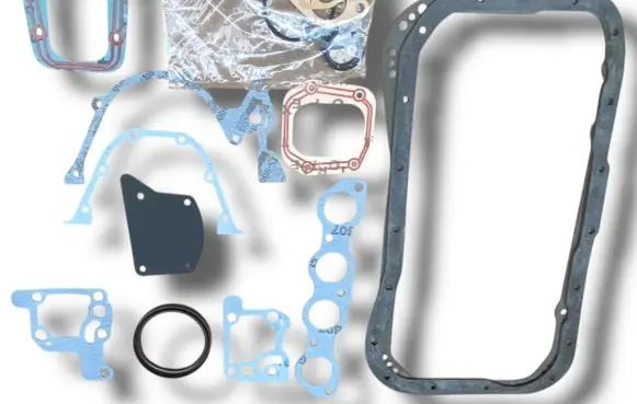 Fiat Punto (199) Front door rubber seal Q237 71728825