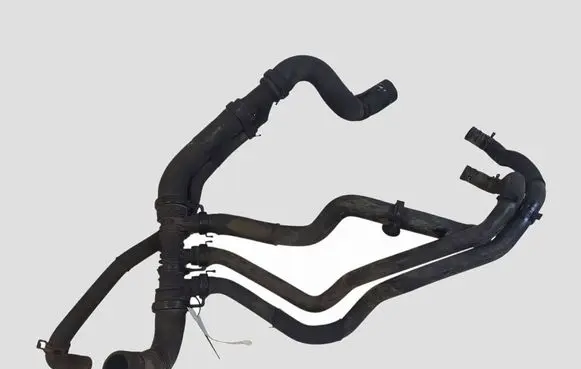 Renault Scenic II - Grand scenic II Engine coolant pipe/hose 800331615C