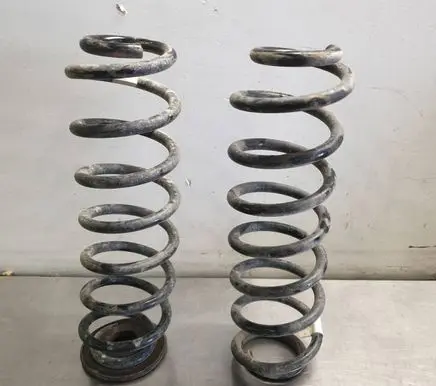 Rear coil spring