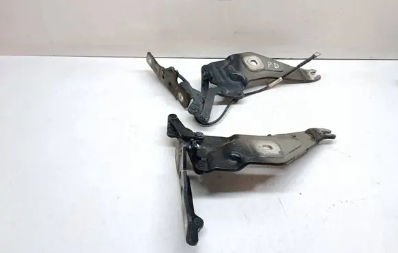 BMW X5 E70 Engine bonnet/hood hinges 7208627 7208628