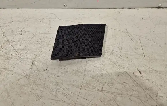 Toyota RAV 4 (XA50) Side speaker trim/cover 5553542040
