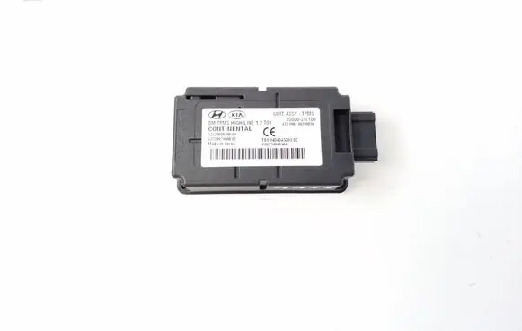 Hyundai Santa Fe Tire pressure control unit 