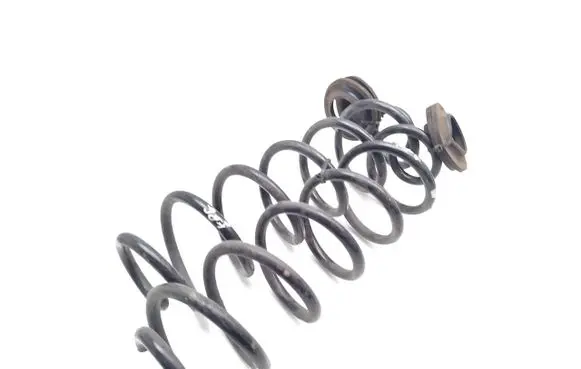 Rear coil spring