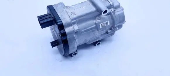 Toyota RAV 4 (XA50) Air conditioning (A/C) compressor (pump) 0424001102