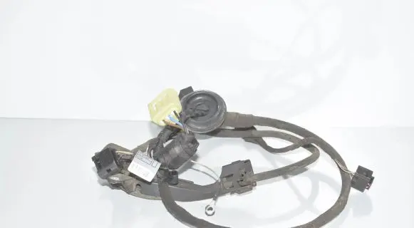 Front door wiring loom