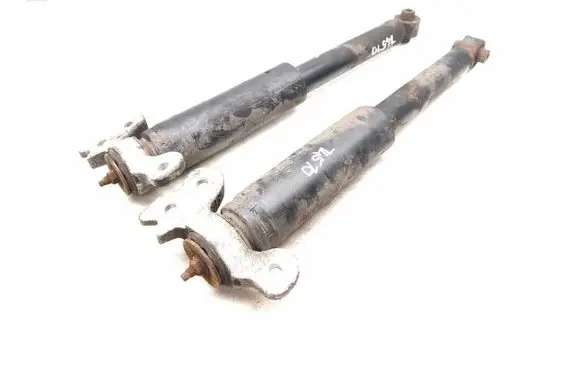 Opel Insignia B Rear shock absorber/damper 3188901