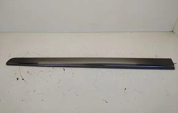 Mercedes-Benz B W245 Front door trim (molding) A1696983662