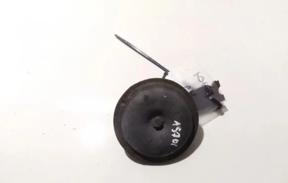 Horn signal