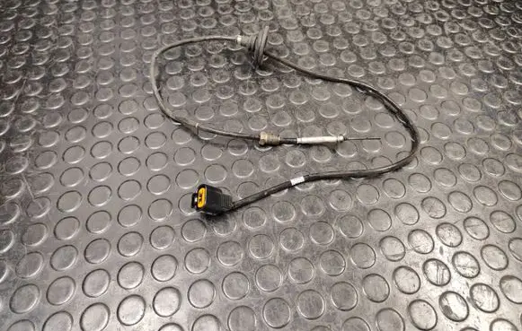 Peugeot 4007 Exhaust gas temperature sensor 4185000140