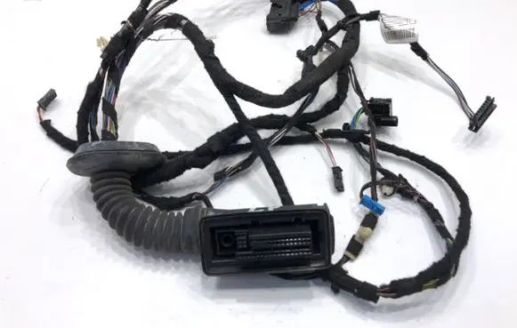 BMW 3 F30 F35 F31 Front door wiring loom 9259986