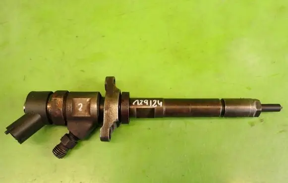 Citroen C5 Fuel injector 0445110259