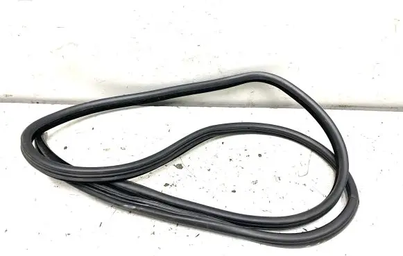BMW X6 E71 Rubber seal rear door 7195447