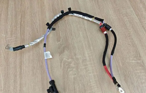 BMW X6 G06 Other wiring loom 712061905A 10002493