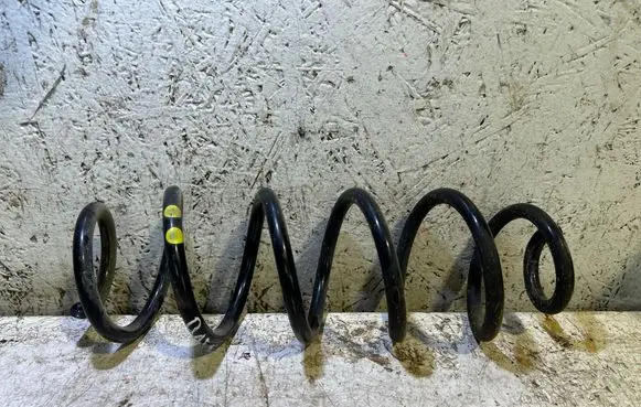 Rear coil spring