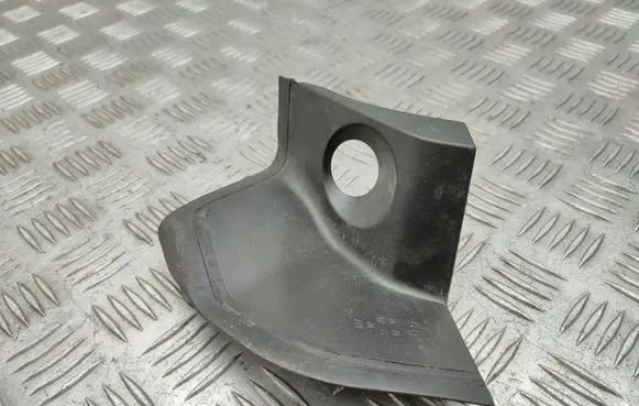 Rear/tail light trim molding