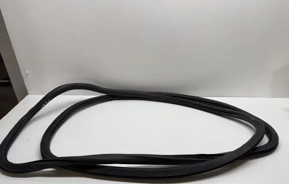 Chrysler Pacifica Rubber seal rear door