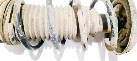 Front coil spring