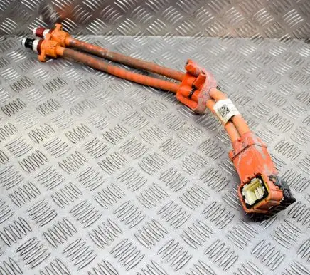 Tesla Model X Other wiring loom 147118100C
