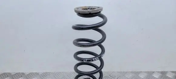 Rear coil spring