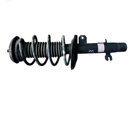 Citroen C3 Front shock absorber with coil spring