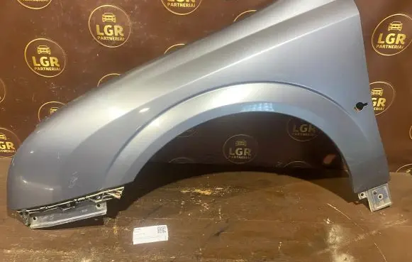Opel Signum Fender