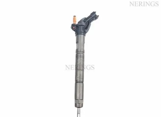 Fiat Ducato Fuel injector 0445116019 0986435395