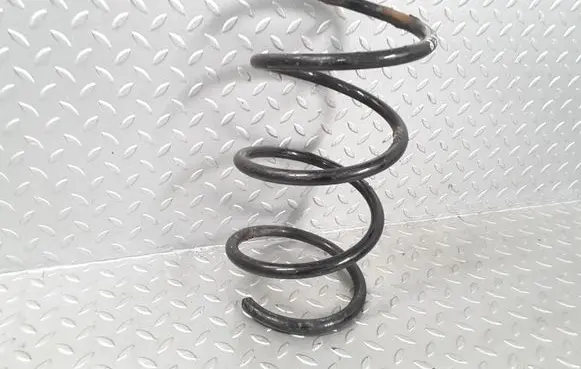 Toyota RAV 4 (XA30) Front coil spring 4813142510
