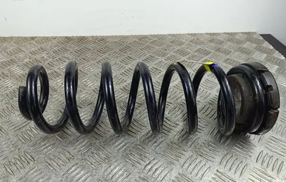 Rear coil spring