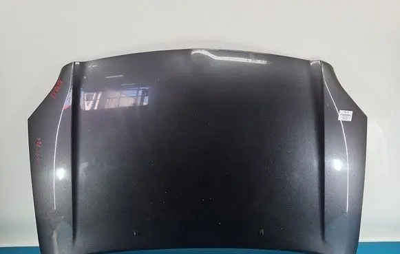 Engine bonnet/hood