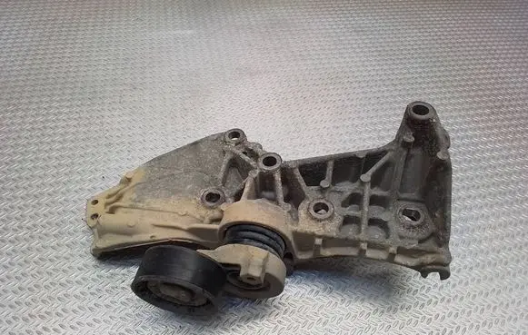 Renault Kangoo II Generator/alternator bracket 8200669495