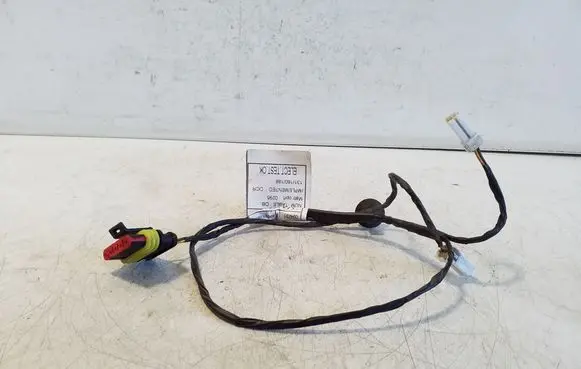 Other wiring loom