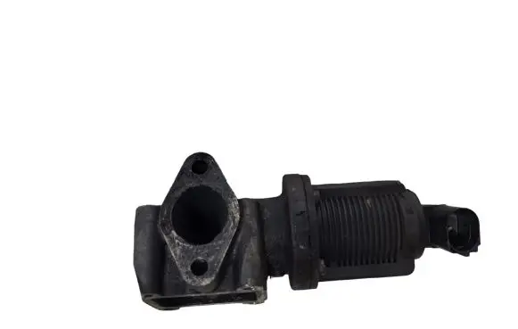 Opel Zafira B EGR valve 50024005 55215031