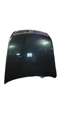 Volkswagen Phaeton Engine bonnet/hood NOCODE