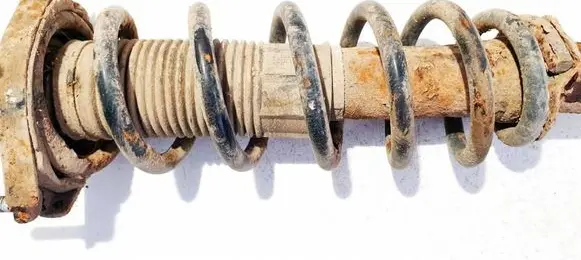 Toyota Corolla Verso AR10 Rear coil spring 