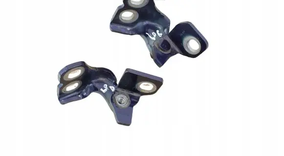 Fiat Tipo Front door hinge set ZAW24