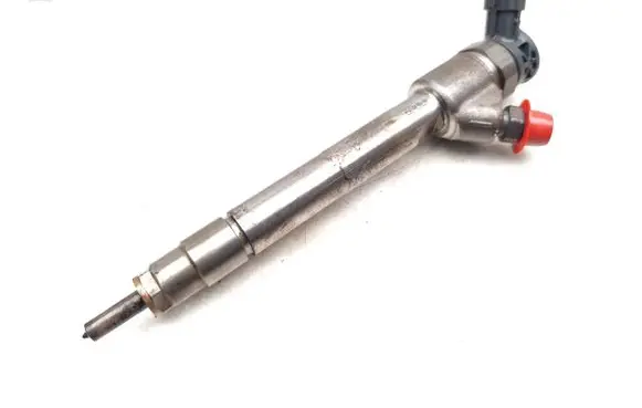 Citroen Berlingo Fuel injector 9828959880 0445110955