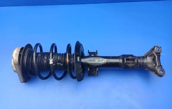 Mercedes-Benz CLS C218 X218 Front shock absorber with coil spring A2183204013 801404001991