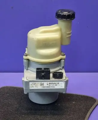 Dacia Sandero Power steering pump 491102583R