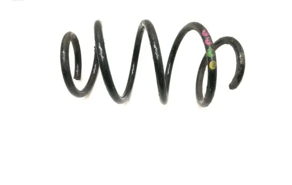Front coil spring