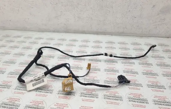 Rear door wiring loom