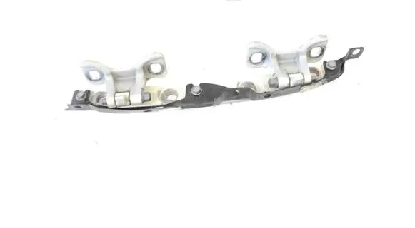 Tailgate/trunk/boot hinge