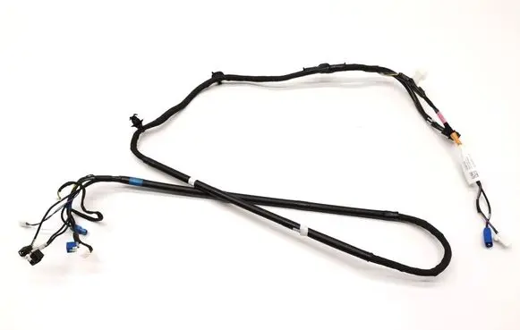 Tesla Model Y Other wiring loom 161669100C