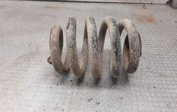 Rear coil spring