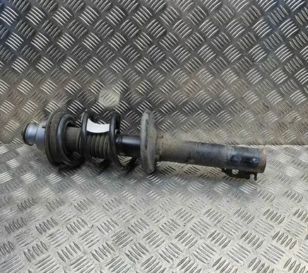 Porsche Cayman 981 Rear shock absorber/damper 98733305116