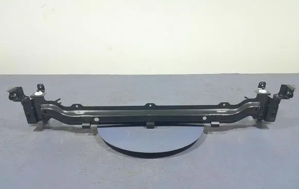 BMW X5 E53 Handrail (top trim) 7438246