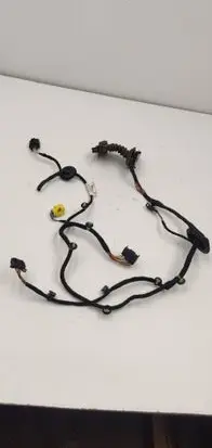 Volkswagen PASSAT B6 Front door wiring loom 3C1971121CJ
