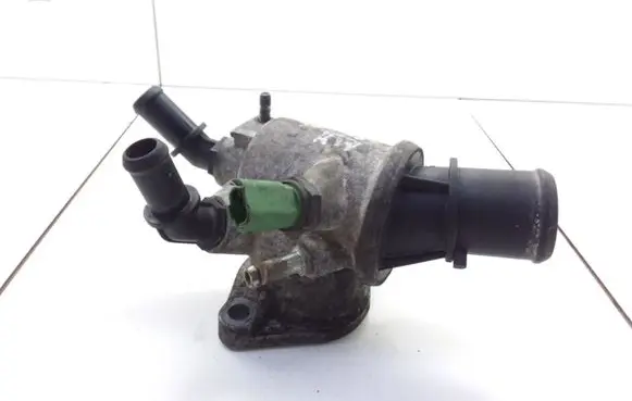 Thermostat/thermostat housing